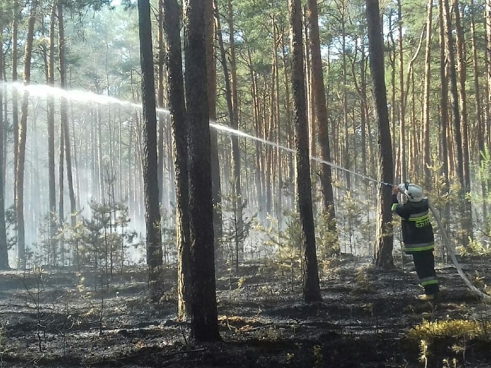 Photo of Pożar lasu w Trzech Morgach [AKTUALIZACJA]