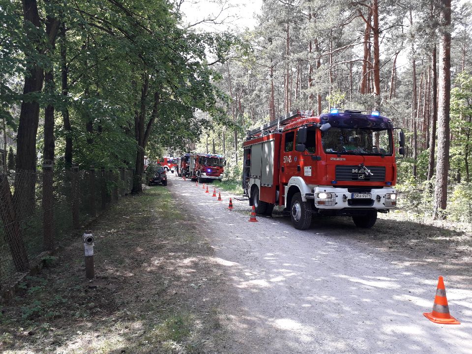 Photo of Strażacy ćwiczyli gaszenie pożaru w lesie
