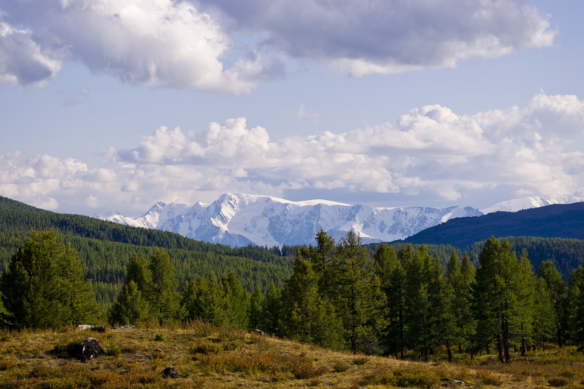 Photo of Syberiada polska