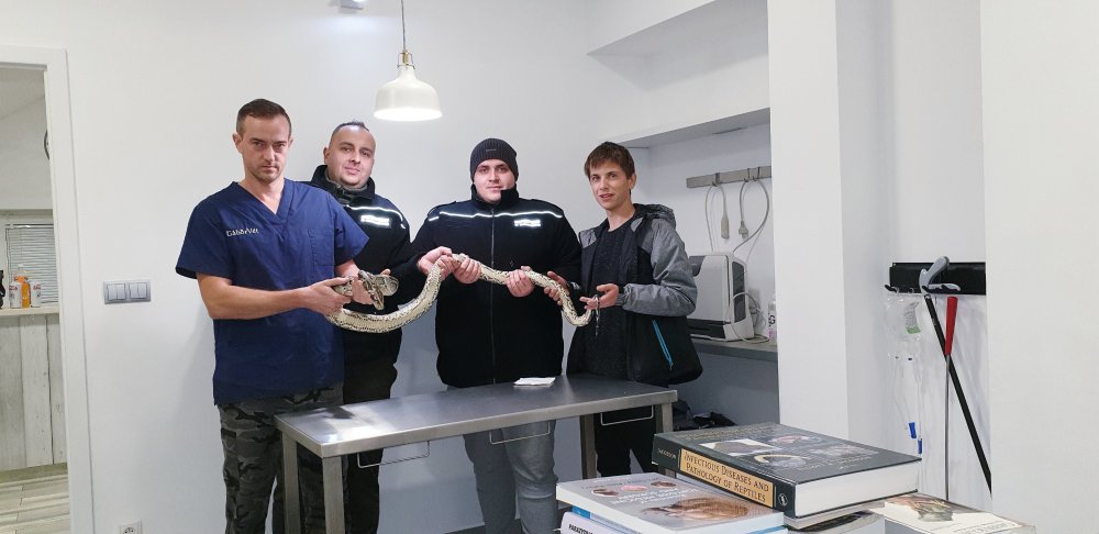 Photo of Nie udało się uratować węża znalezionego w Sulejowie
