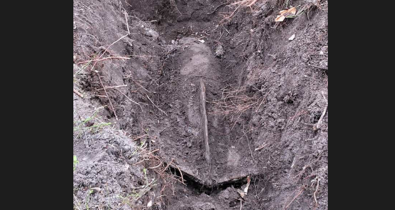 Photo of Ogromna bomba znaleziona w lesie
