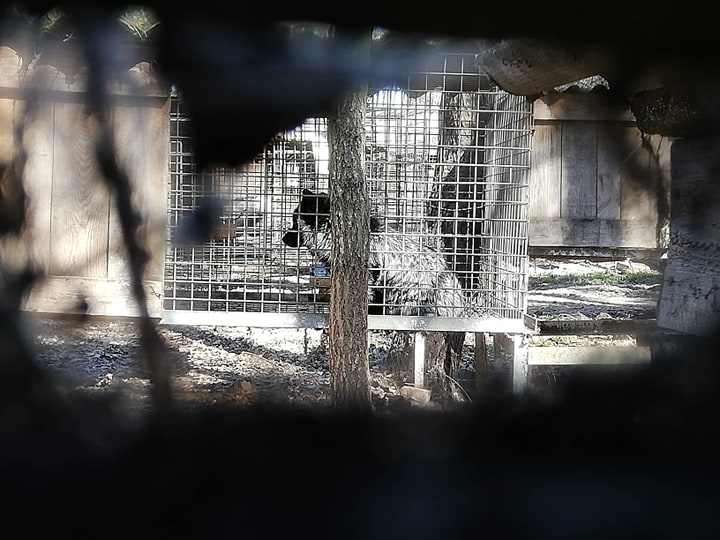 Photo of Będzie doniesienie do prokuratury w sprawie fermy zwierząt futerkowych