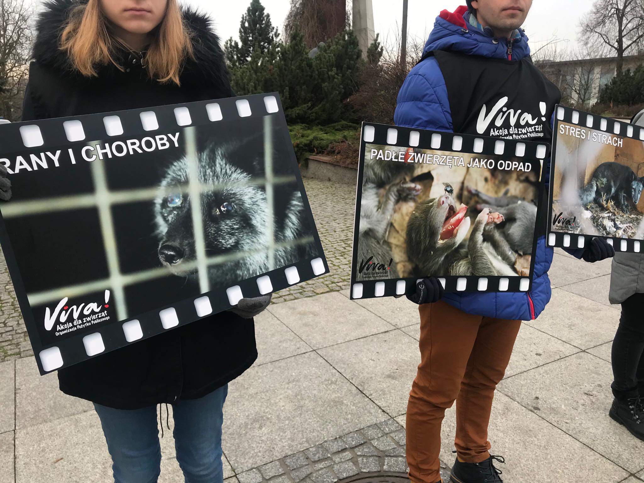 Photo of Fundacja Viva znowu protestuje w obronie zwierząt – ZDJĘCIA,FILM
