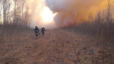 Photo of Strażacy z Piotrkowa walczą z pożarem w Biebrzańskim Parku Narodowym