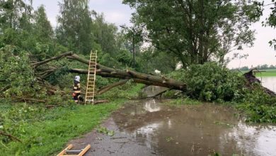 Photo of Piotrków i powiat po burzy: ponad 25 interwencji strażaków