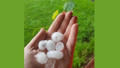 Photo of Burza znowu wyrządziła szkody. Paliło się w Babach, zalane Stado Ogierów w Bogusławicach