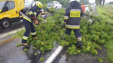 Photo of Złamany konar i zalana droga w Przygłowie