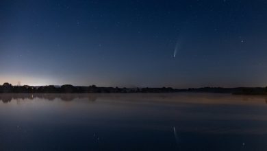 Photo of Spotkali się na Bugaju by fotografować ”spadające gwiazdy”