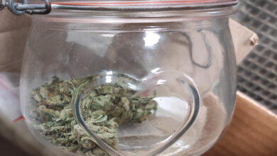Photo of Marihuana w słoiku z serduszkiem