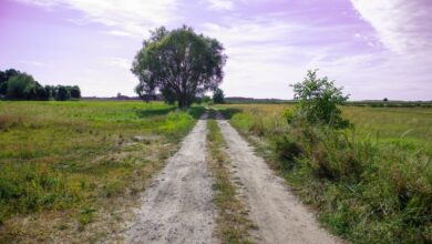 Photo of Lepsze drogi dla rolników