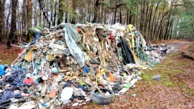 Photo of Kto wyrzucił śmieci do lasu? Gmina poszukuje sprawcy