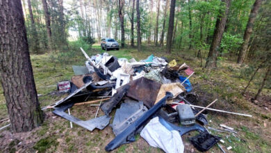 Photo of Mieszkaniec Piotrkowa wyrzucił śmieci do lasu – teraz stanie przed sądem