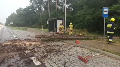 Photo of Strażacy z Przygłowa usuwali po burzy powalone drzewa i konary