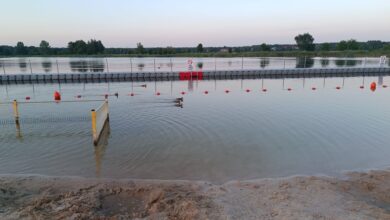 Photo of Woda w Słoneczku nadal nie nadaje się do kąpieli. Dobrze czują się tam tylko kaczki