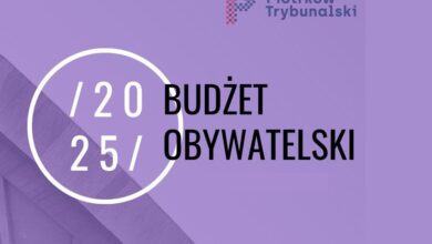 Photo of 29 pomysłów piotrkowian w Budżecie Obywatelskim