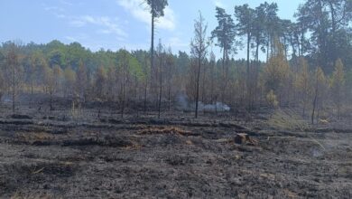 Photo of Niemal 40 strażaków walczyło z pożarem lasu