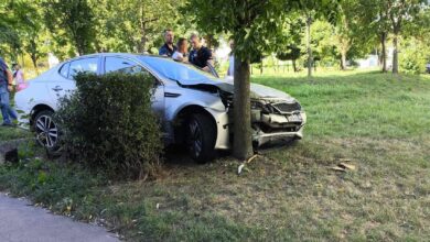 Photo of Pijany kierowca zakończył jazdę na drzewie. Po przebadaniu, policjanci puścili go do domu – ZDJĘCIA