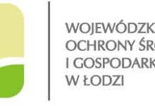 Photo of Piotr Kopek: Chcemy zapewnić wsparcie samorządom i przedsiębiorcom w przeprowadzaniu zielonych inwestycji