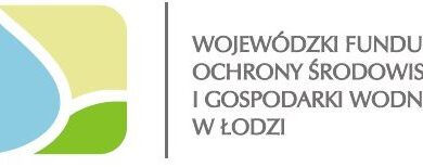 Photo of Piotr Kopek: Chcemy zapewnić wsparcie samorządom i przedsiębiorcom w przeprowadzaniu zielonych inwestycji