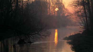 Photo of Sulejowski park krajobrazowy pod szczególną ochroną