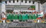 Festyn sałaty szydłów (138)